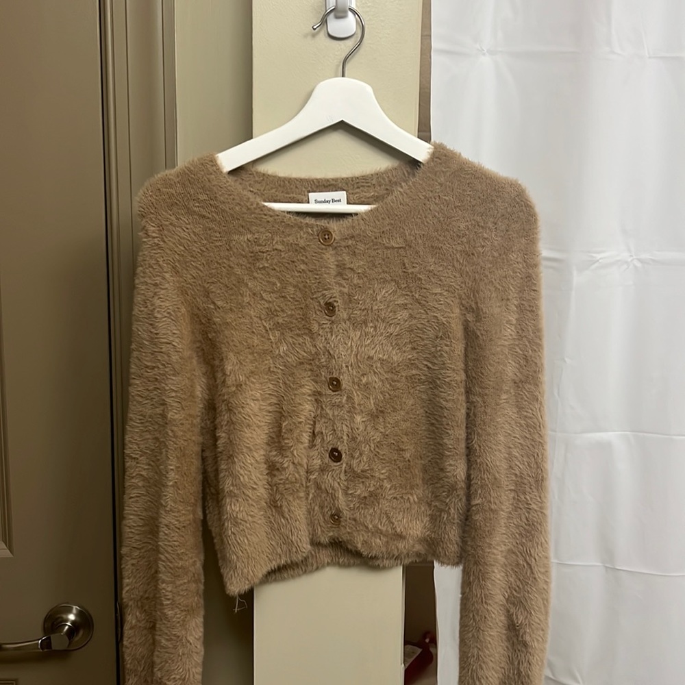 Aritzia Sunday Best furry sweater